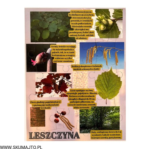 Projekt bez nazwy - 2023-09-16T162530.762.jpg