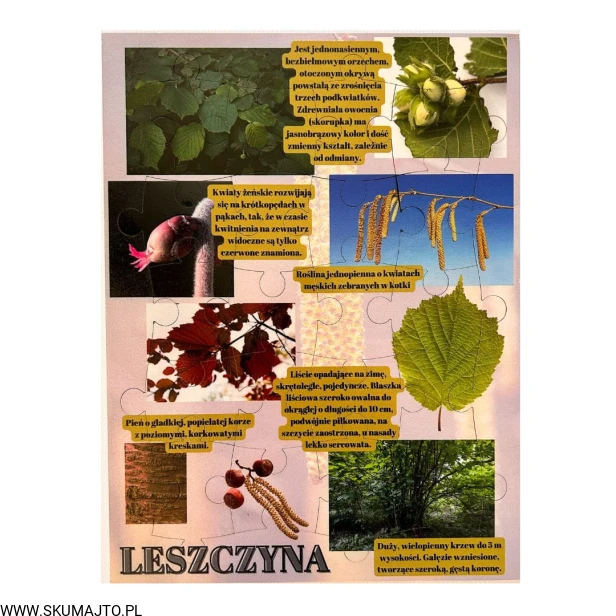 Projekt bez nazwy - 2023-09-16T162530.762.jpg