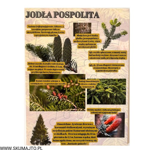 Projekt bez nazwy - 2023-09-16T162456.846.jpg