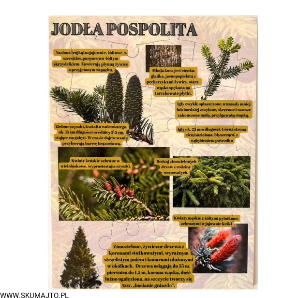 Projekt bez nazwy - 2023-09-16T162456.846.jpg