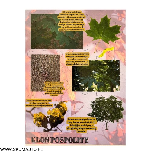 Projekt bez nazwy - 2023-09-16T162427.358.jpg