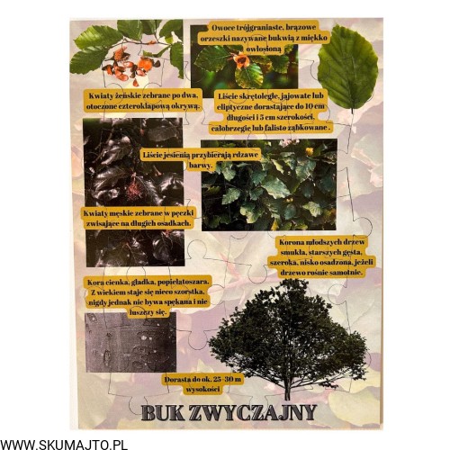 Projekt bez nazwy - 2023-09-16T162357.258.jpg