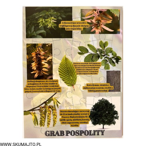 Projekt bez nazwy - 2023-09-16T160253.122.jpg