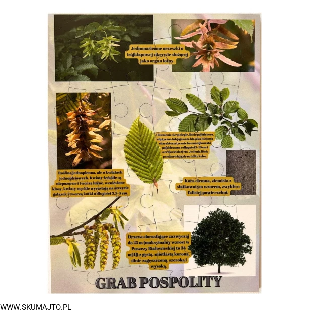 Projekt bez nazwy - 2023-09-16T160253.122.jpg