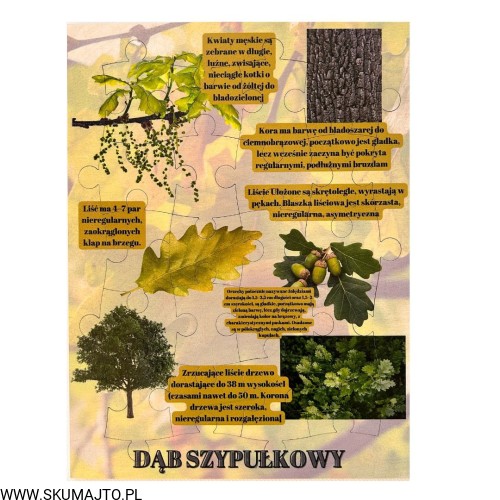 Projekt bez nazwy - 2023-09-16T160206.609.jpg