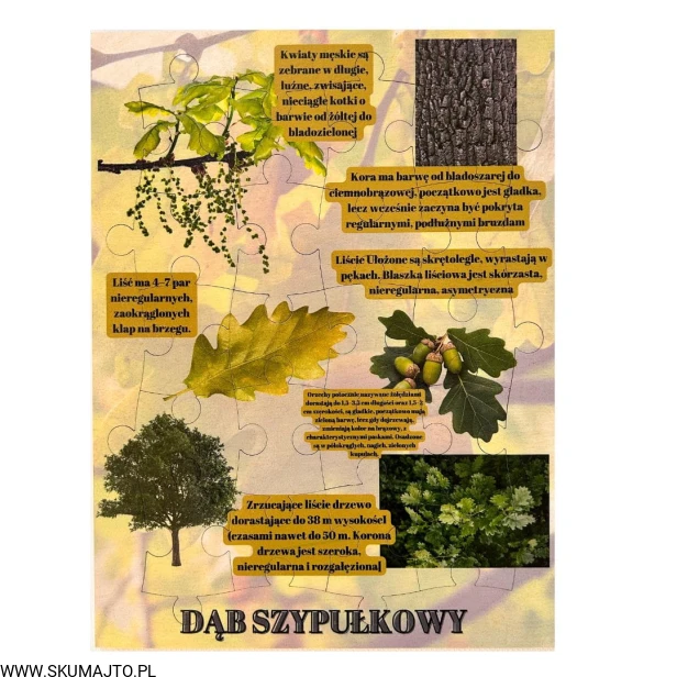 Projekt bez nazwy - 2023-09-16T160206.609.jpg