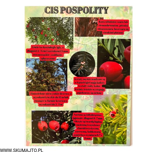 Projekt bez nazwy - 2023-09-16T160133.481.jpg