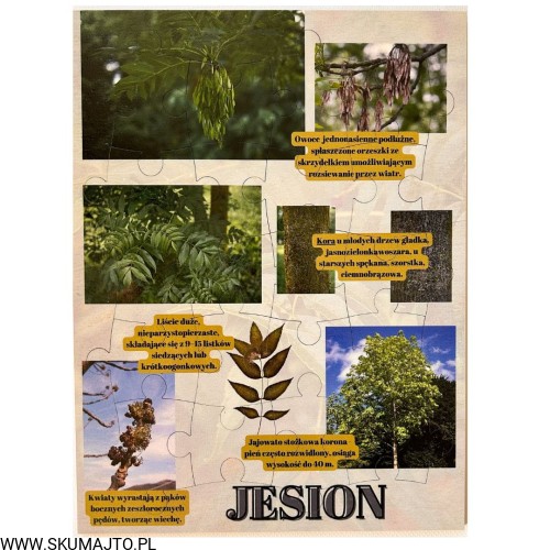 Projekt bez nazwy - 2023-09-16T155953.463.jpg