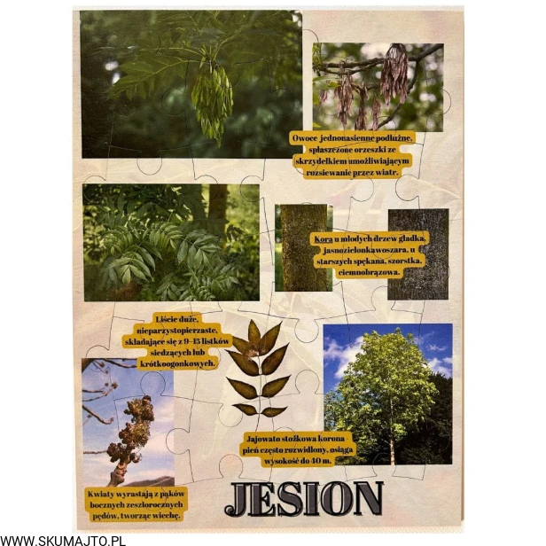 Projekt bez nazwy - 2023-09-16T155953.463.jpg