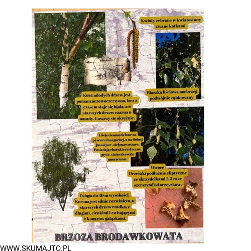 Projekt bez nazwy - 2023-09-16T191147.821.jpg