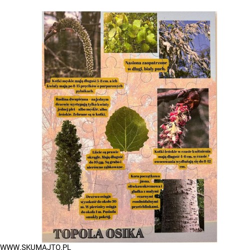 Projekt bez nazwy - 2023-09-16T160050.404.jpg