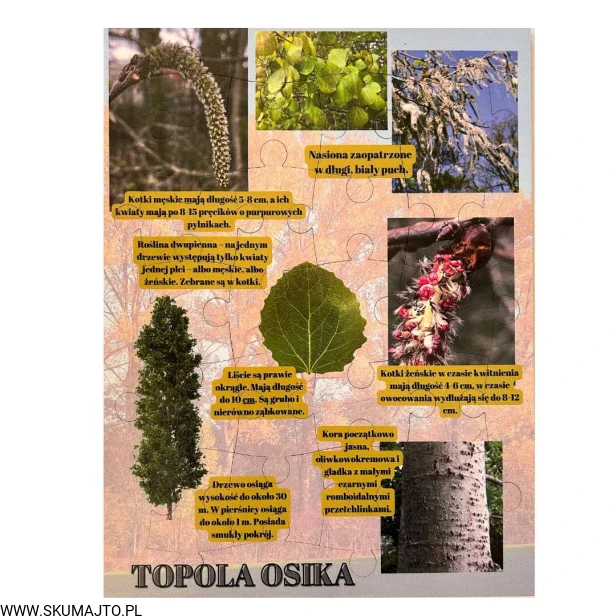 Projekt bez nazwy - 2023-09-16T160050.404.jpg