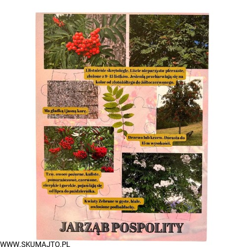 Projekt bez nazwy - 2023-09-16T155921.689.jpg