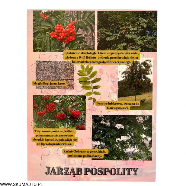 Projekt bez nazwy - 2023-09-16T155921.689.jpg