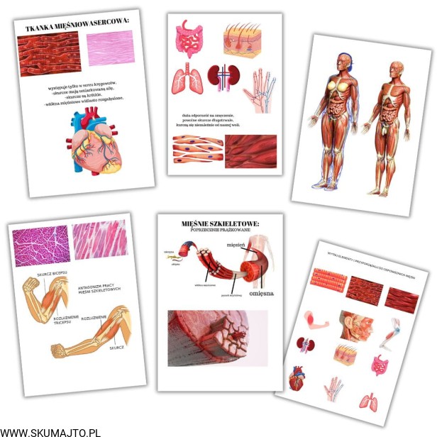 Projekt bez nazwy - 2023-09-22T084126.590.jpg