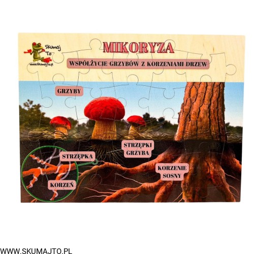 Projekt bez nazwy - 2023-10-02T084600.832.jpg