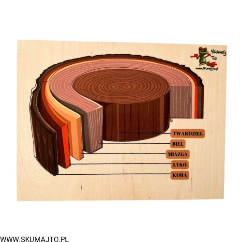 Projekt bez nazwy - 2023-10-06T172305.586.jpg