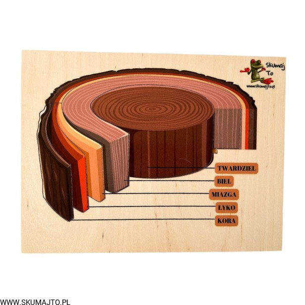 Projekt bez nazwy - 2023-10-06T172305.586.jpg