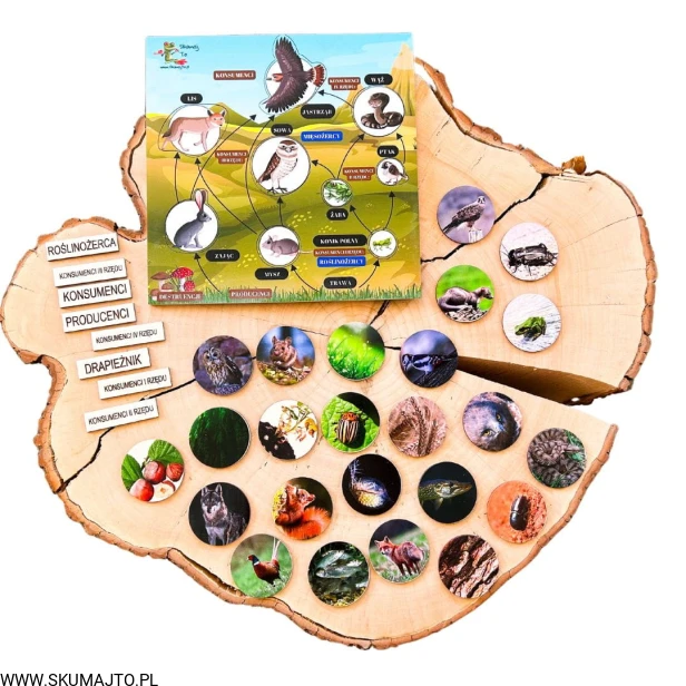 Projekt bez nazwy - 2023-10-12T191632.315.jpg