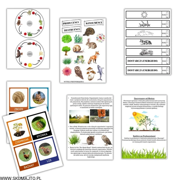 Projekt bez nazwy - 2023-10-12T191348.989.jpg
