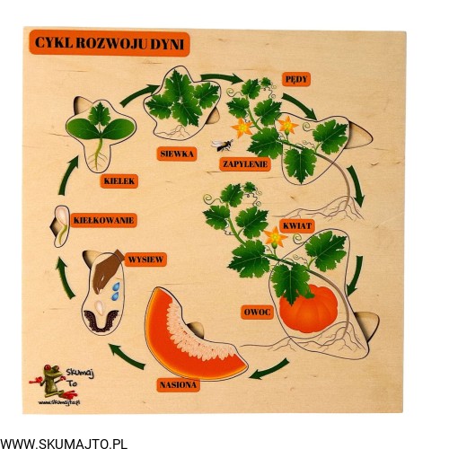 Projekt bez nazwy - 2023-10-20T111057.050.jpg