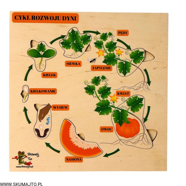 Projekt bez nazwy - 2023-10-20T111057.050.jpg