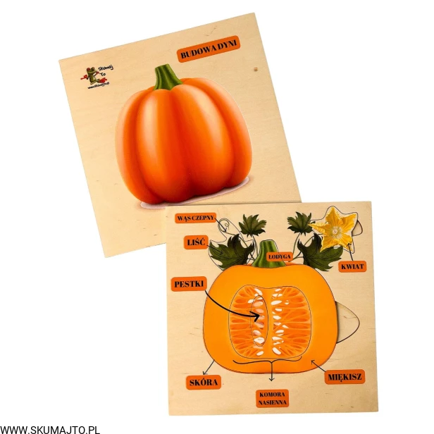 Projekt bez nazwy - 2023-10-20T110810.553.jpg