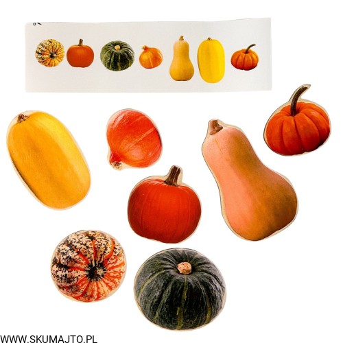 Projekt bez nazwy - 2023-10-20T110659.210.jpg