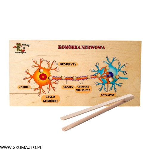 Projekt bez nazwy - 2023-10-29T195041.277.jpg