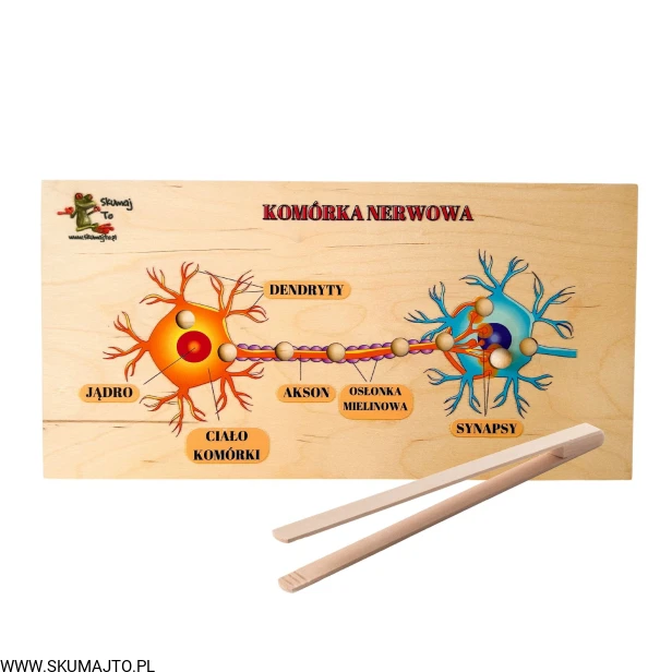 Projekt bez nazwy - 2023-10-29T195041.277.jpg