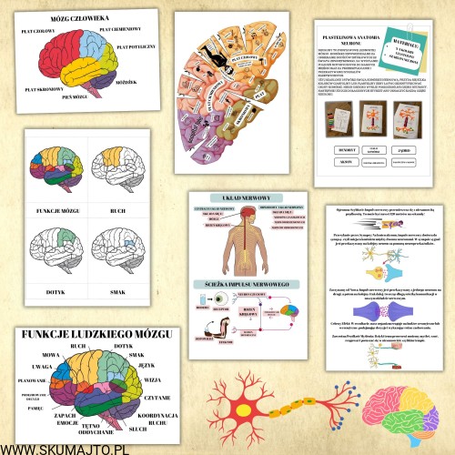Projekt bez nazwy - 2023-10-29T194404.028.jpg