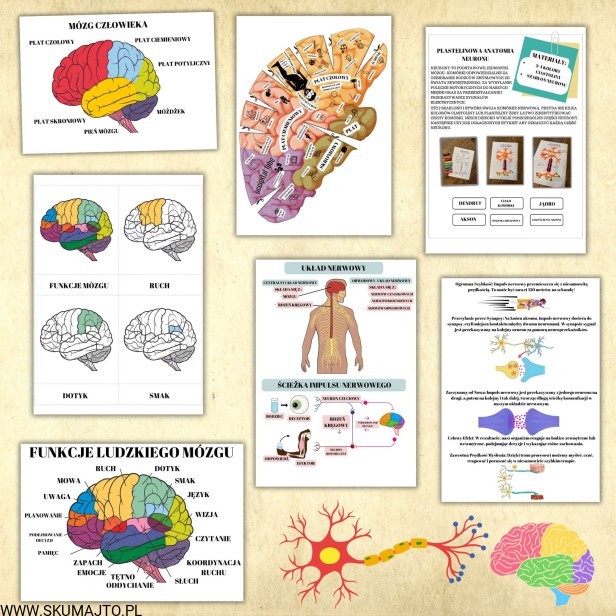 Projekt bez nazwy - 2023-10-29T194404.028.jpg