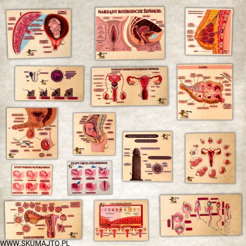 Projekt bez nazwy - 2023-11-12T164121.716.jpg