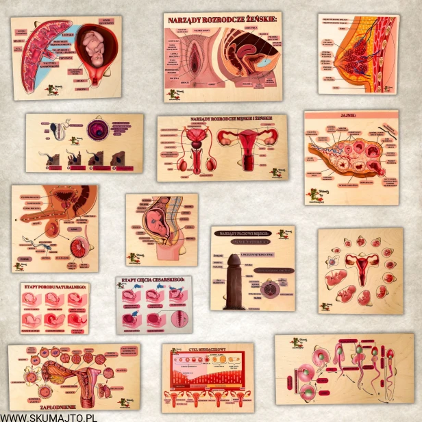 Projekt bez nazwy - 2023-11-12T164121.716.jpg