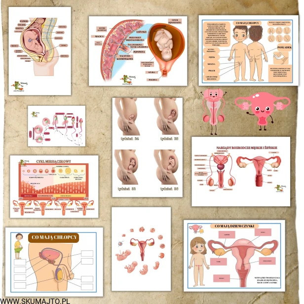 Projekt bez nazwy - 2023-11-12T210508.965.jpg