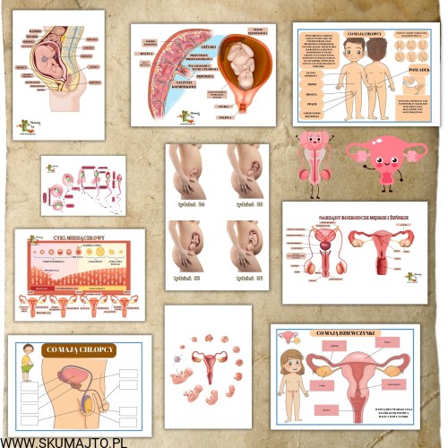 Projekt bez nazwy - 2023-11-12T210508.965.jpg