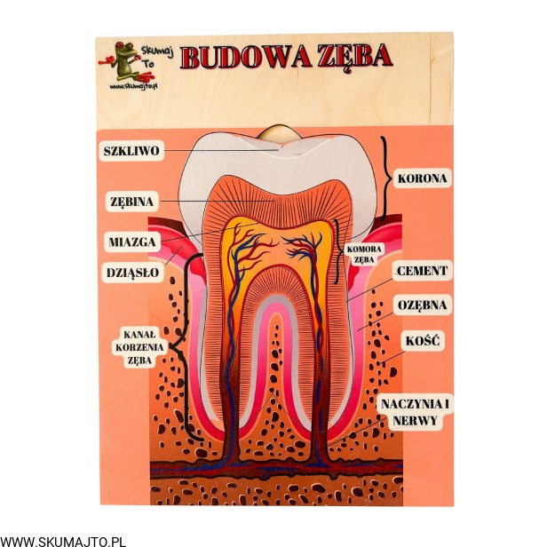 Projekt bez nazwy - 2023-11-17T181132.132.jpg