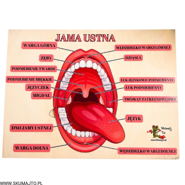 Projekt bez nazwy - 2023-11-17T181054.938.jpg