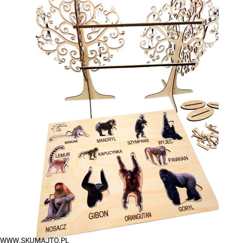 Projekt bez nazwy - 2023-12-09T211727.875.jpg