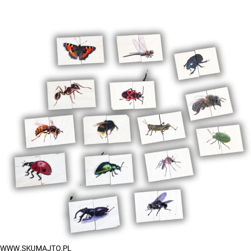 Projekt bez nazwy - 2024-02-05T170732.723.jpg