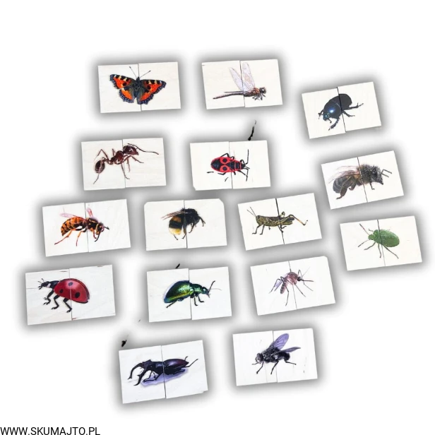 Projekt bez nazwy - 2024-02-05T170732.723.jpg