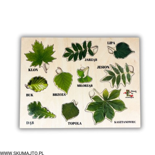 Projekt bez nazwy - 2024-02-05T170313.189.jpg