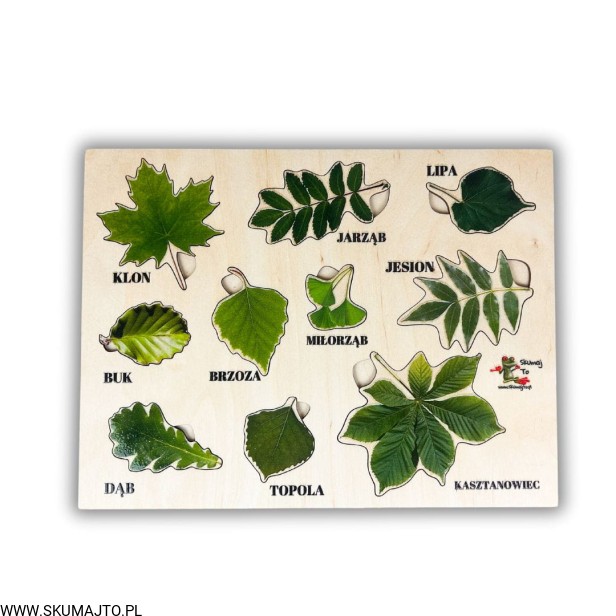 Projekt bez nazwy - 2024-02-05T170313.189.jpg