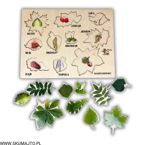 Projekt bez nazwy - 2024-02-05T170428.993.jpg