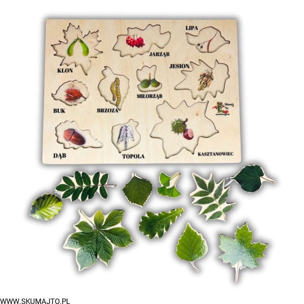 Projekt bez nazwy - 2024-02-05T170428.993.jpg