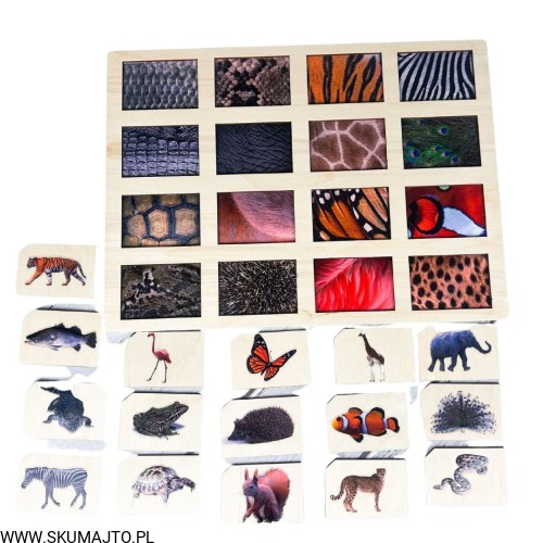 Projekt bez nazwy - 2024-02-05T170235.175.jpg