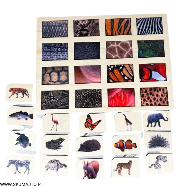 Projekt bez nazwy - 2024-02-05T170235.175.jpg