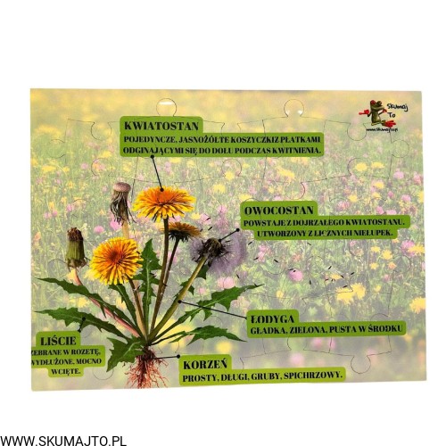 Projekt bez nazwy - 2024-02-23T130018.647.jpg