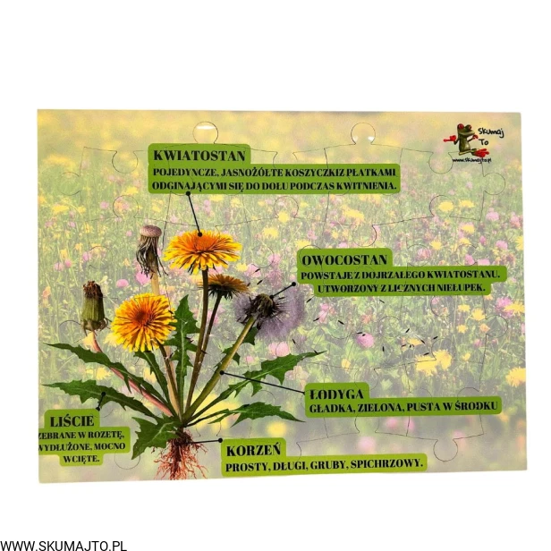 Projekt bez nazwy - 2024-02-23T130018.647.jpg