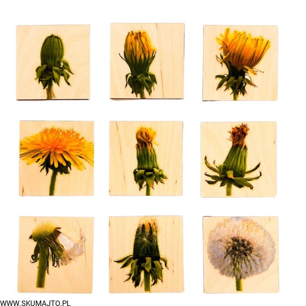 Projekt bez nazwy - 2024-02-23T125938.952.jpg